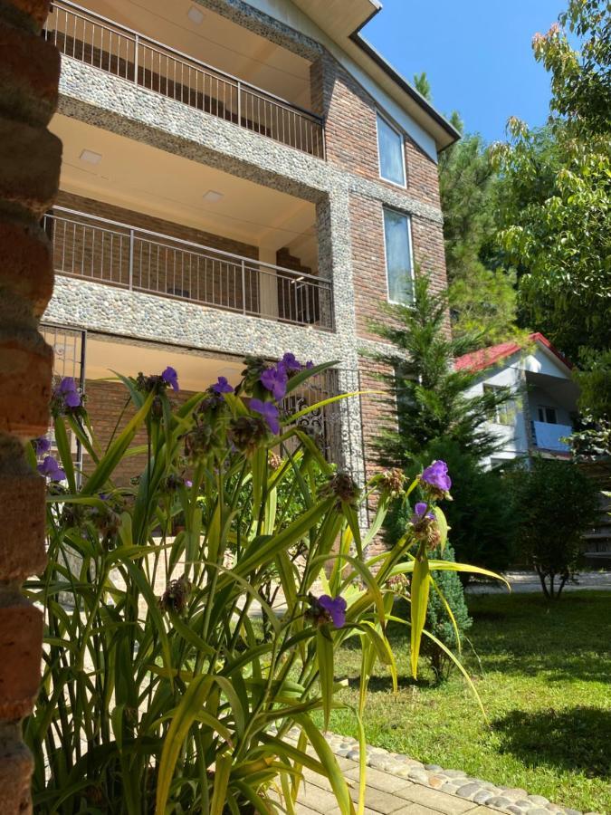 Guest House Shekvetili エクステリア 写真