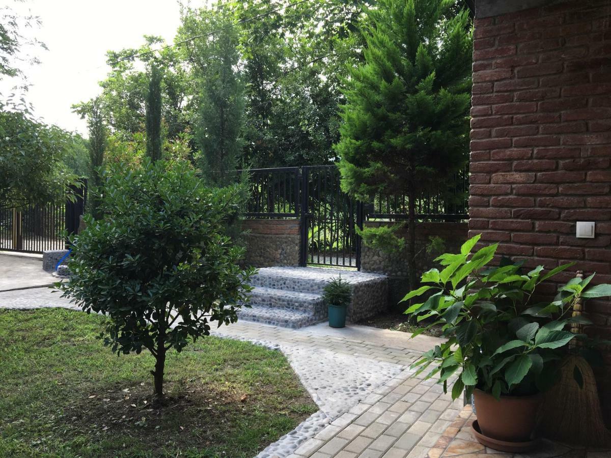 Guest House Shekvetili エクステリア 写真